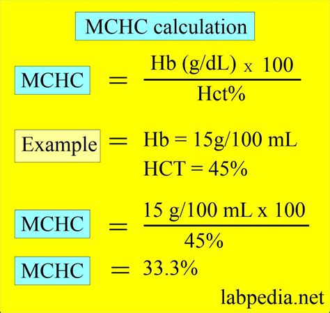 mchc 31.1 g dl meaning.